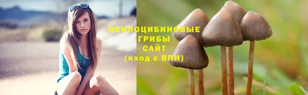 не бодяженный Баксан