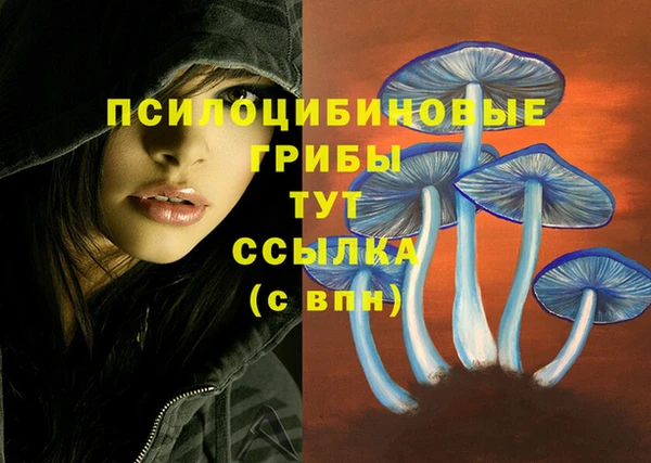 мет Балахна