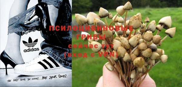мет Балахна